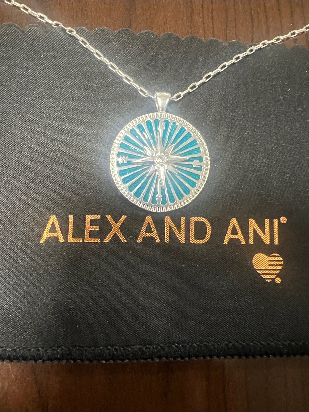 Alex and Ani Silver Compass Necklace